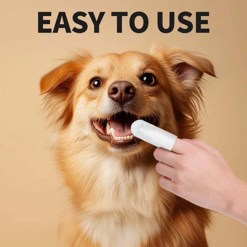 No Rinse Dog Teeth Whitening Wipes Sustainable Pet Teeth Care