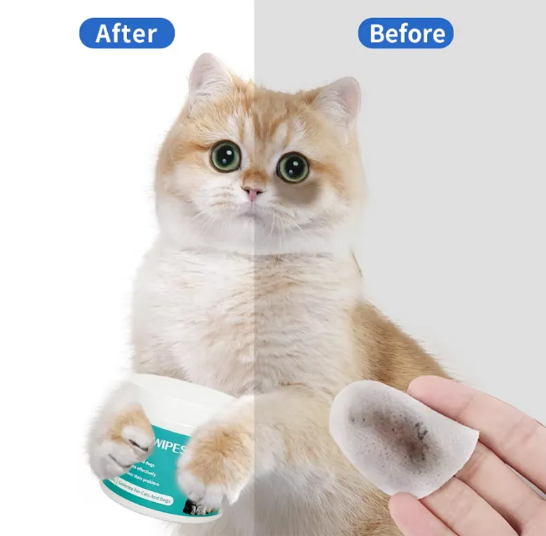 Read More About reptile safe cleaning products