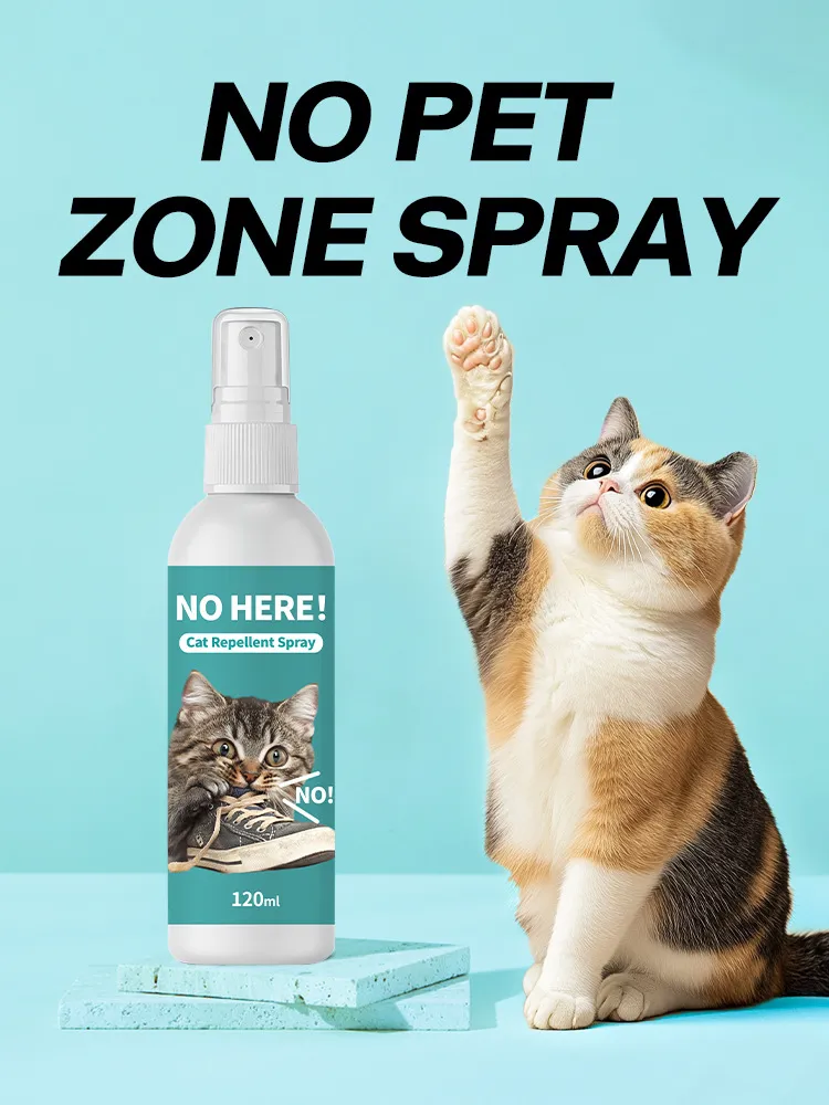 Read More About pet friendly cleaning products