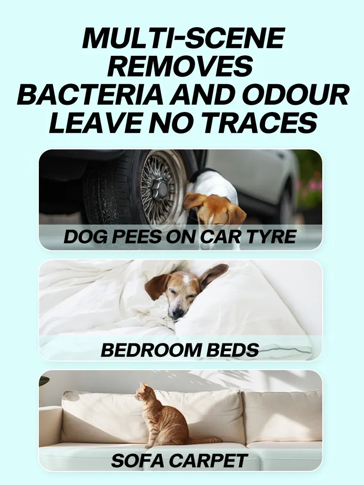 Read More About pet friendly cleaning products