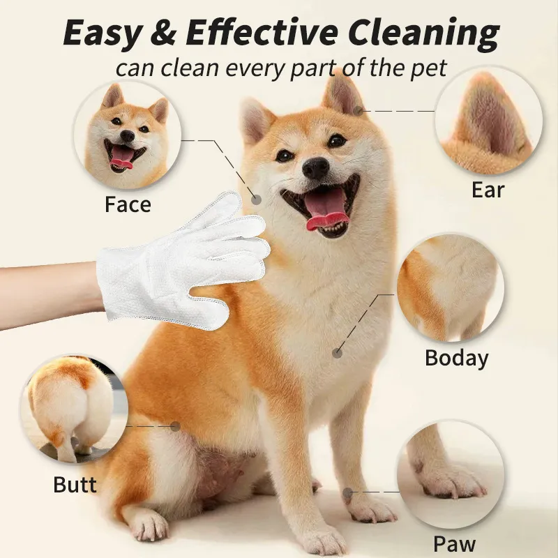 Read More About pet friendly cleaning products