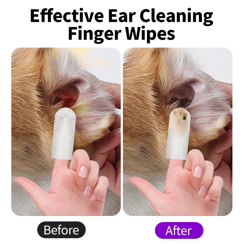 Read More About dog friendly cleaning products