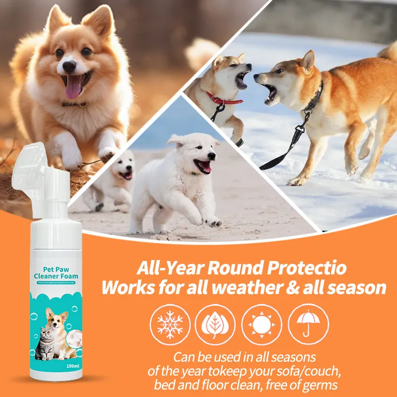 Read More About waterless paw cleaner