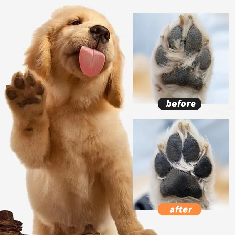 Read More About waterless paw cleaner