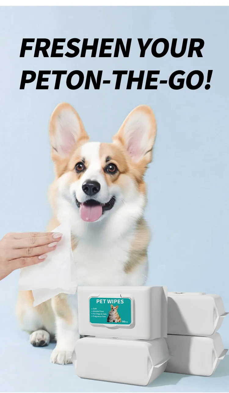 Read More About dog friendly cleaning products